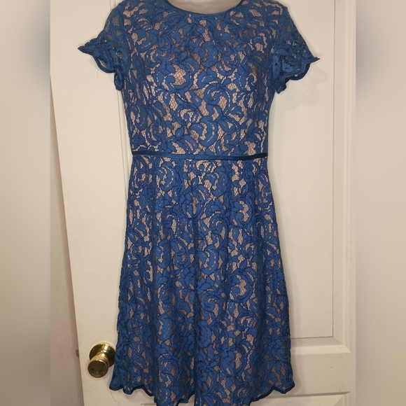 ADRIANNA PAPELL Dark Romantic Blue Lace Dress Burnout Floral Details(#1,031) - Picture 8 of 9